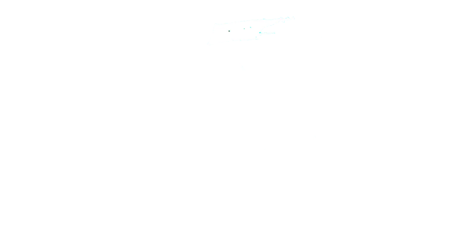Apostate
